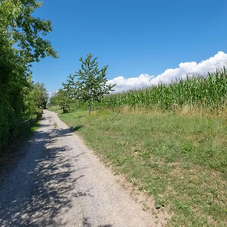 Sommerglueck, Ruhige Hoehenlage Mit Seeblick
