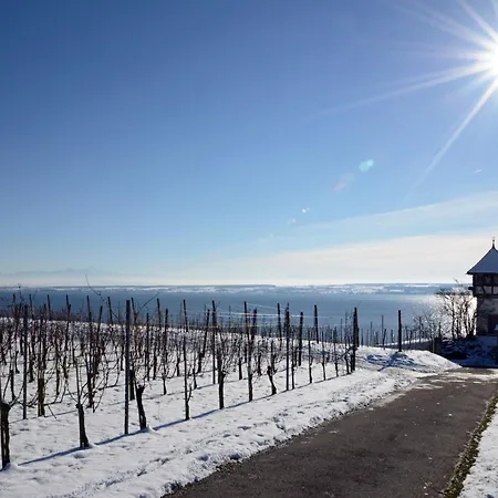 Daire Sommerglueck, Ruhige Hoehenlage Mit Seeblick