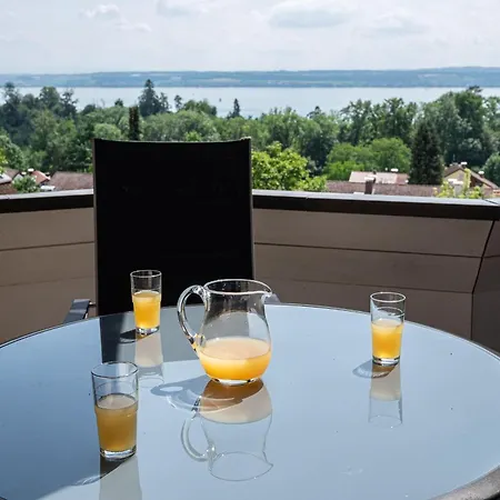 公寓 Sommerglueck, Ruhige Hoehenlage Mit Seeblick 梅尔斯堡